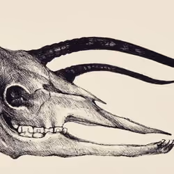 Muto 06