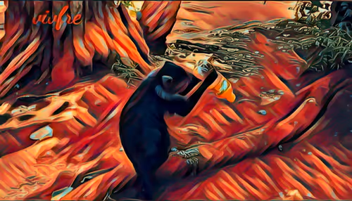 Item #94043160171262060061437071390012762444872149668666996053657412770328922292225 Media