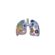 38461013105831515120082887258503080704585228677412680619378056331404878282753
