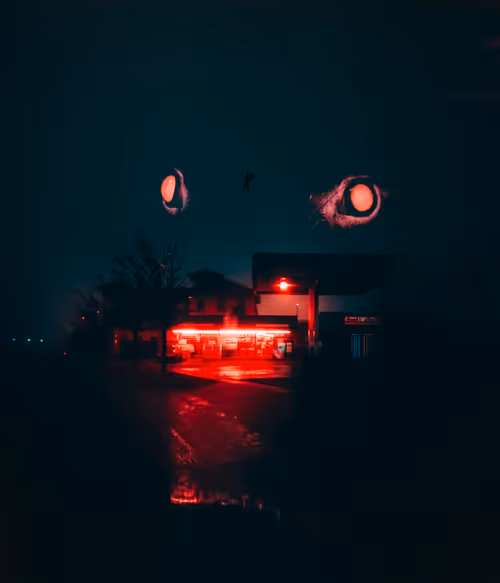 Item #32827042511948826872324468715396382654491318328584451674488605462308065378305 Media