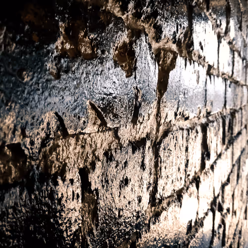 Item #21926675412478956437867617810974213951134164027418523158913384694109544906753 Media