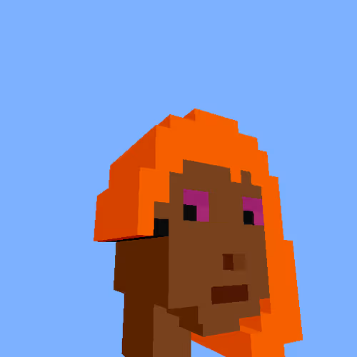 PunkVoxels #7973