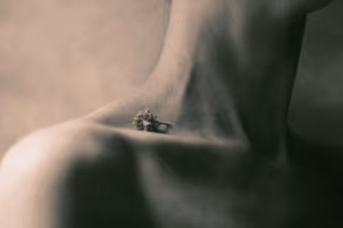 Item #98428321781240690923166413788572359424135882967629447034847431458274246918145 Media