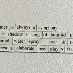 refigerator poetry
