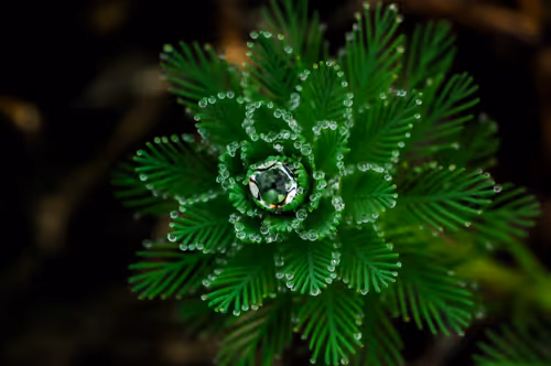 Item #15286439154353413258560728673590493507949724092509999987352070325214493278209 Media