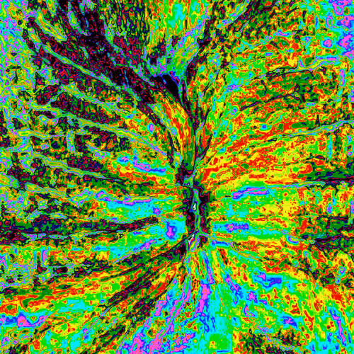 Item #38748192286267356930689689992324455160612969586483070519053316905037100744705 Media