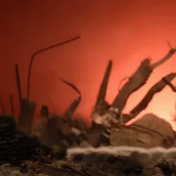 War Front 