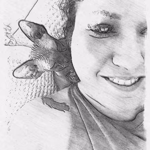 Untitled Collection #256239197