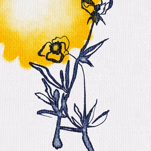 NastiaDiachenko Collection - old V2