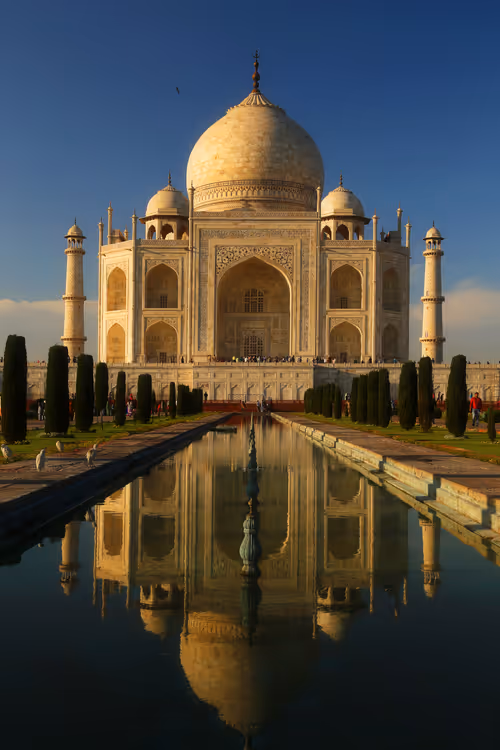 Item #70651564434180574556294947665186140658635151001431395865456628559694926970881 Media