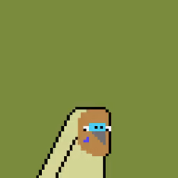 Budgie #318