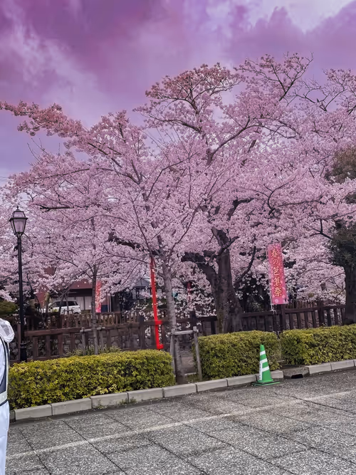 Item #26309083901545567454709889211670292098627789932924015051489478917393982947333 Media