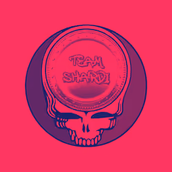 V2 Steal Your Team Shardi