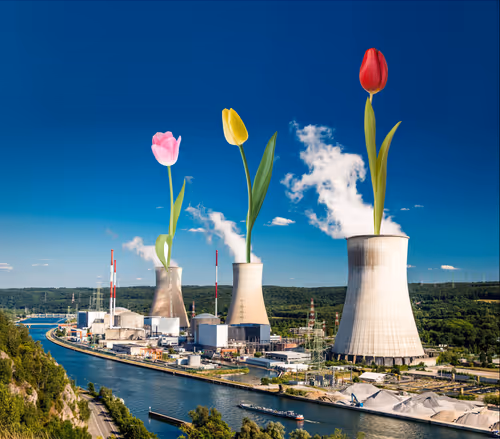 Item #32280227684796633281509489685107784796052920964773961429317660087101639622657 Media