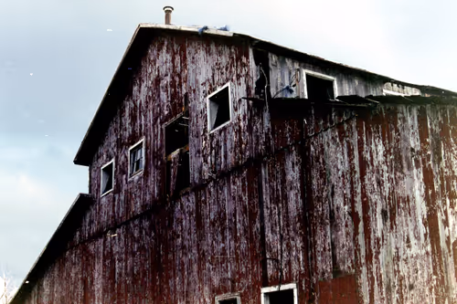 Item #102681073820549918018156706383720612658195698549287552323172903084052187185153 Media