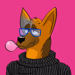 BNDog 481