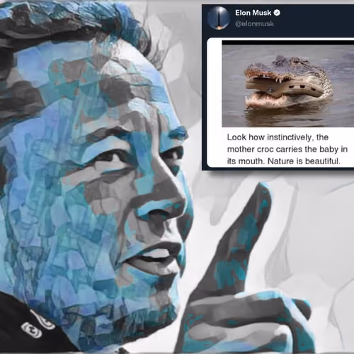 Elon Musk Tweet #38