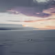 Ice Shack - Collector's Edition
