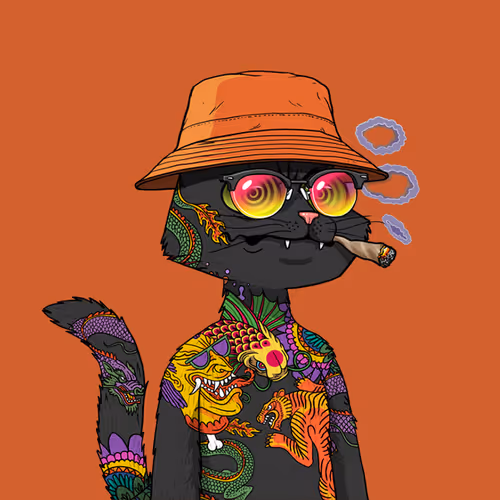 Catman35 Collection