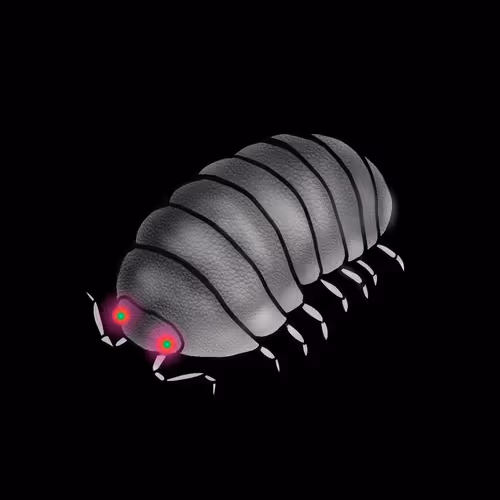 Item #63394889464776947640994999177042947820752530038038357440375934253766134464513 Media