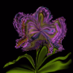 Feathery Fragrance
