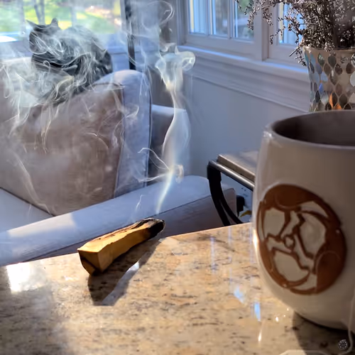 Item #29180037304126350885250495932670393856621816671847715579213757652697387892749 Media