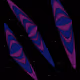 98665051437015956376146018395934141228374706862272741882712426038062928101377