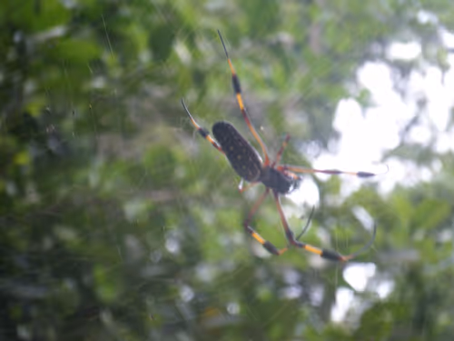 Item #52182003056719623543075732543608248748892502658984332936685367672385113686017 Media