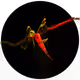 3297889266964821186108216166808061648097153390725508810487041798184284192769