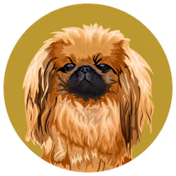 54766349128176429303044182404049584425310907481653304317570413856165541707777