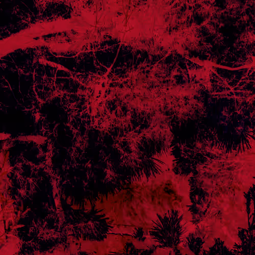 UBB Collection - old