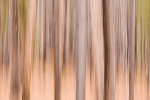 Allingoodlight Collection