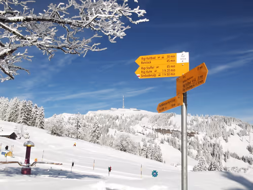 Item #57616968774937305667495645743759075996351860147408322149889343975564687441921 Media