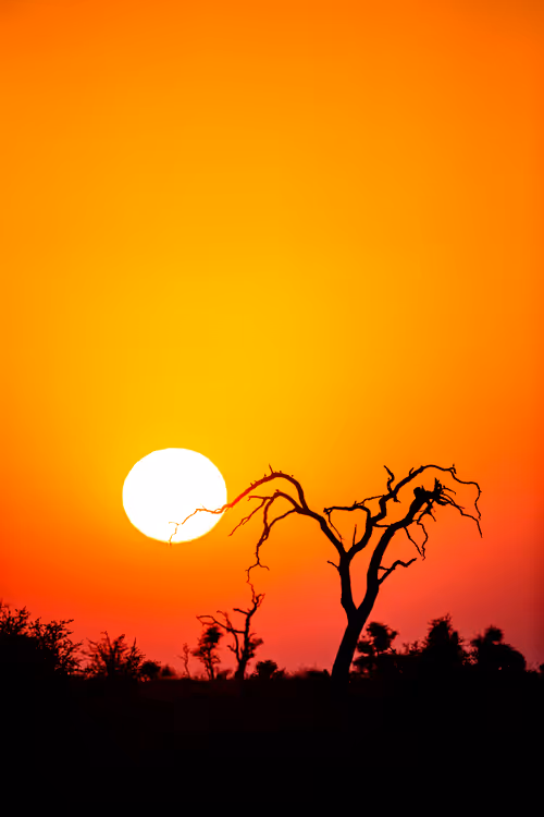 Item #7541061549894864195156407878226049609919453325507496884230064737347134554113 Media