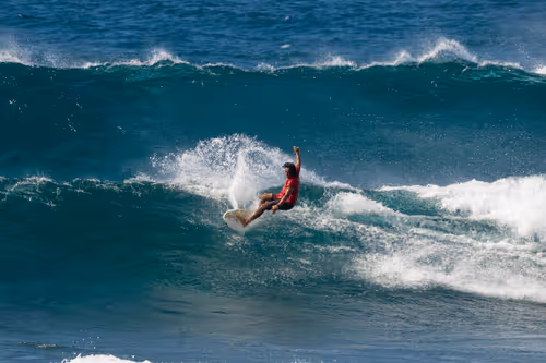 Item #38069088421557280780080489884356511775313840977413642295707171783053368360961 Media