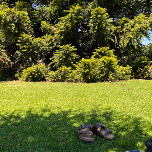 Picnic