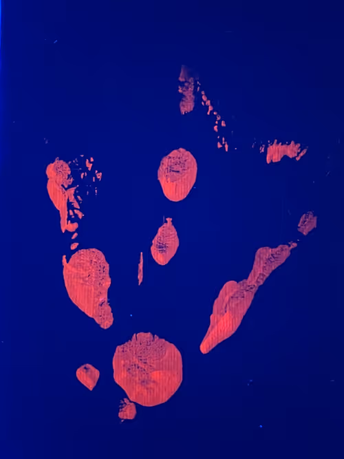 Item #82156306384610747966184862212727550247456131418142315154672423514941316661249 Media