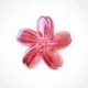 Flower Pass