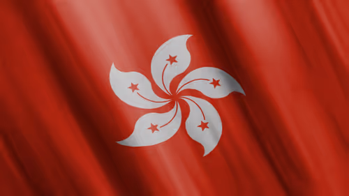 Item #48296378404190508842840607963278857833198534882652701702402989982322813566977 Media