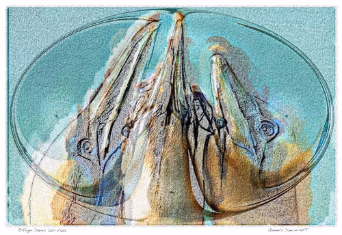 Item #6968899724388266606176016145545160509277227480062482001621938834898734284900 Media