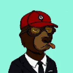 Okay Bears Pixel 57