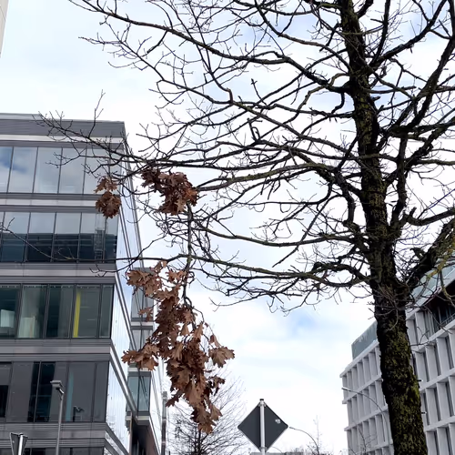 62175267119956854346768101641824727859604734918017792062945530252419693281281