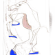 91700425369708250761612592710178646195781950738292608555399242441716760838145