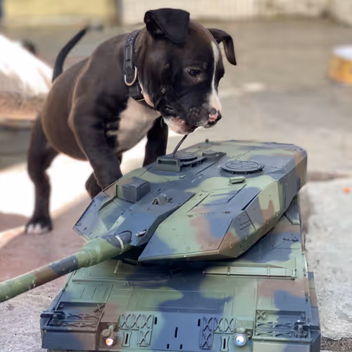 FreedomXR Collection