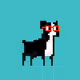 Jpeg Pets