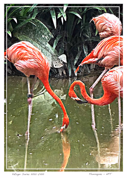 Item #113829610119937179277145653237989536661159515398728099625049874705145055412225 Media