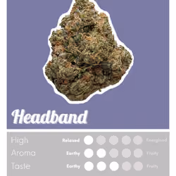 Headband