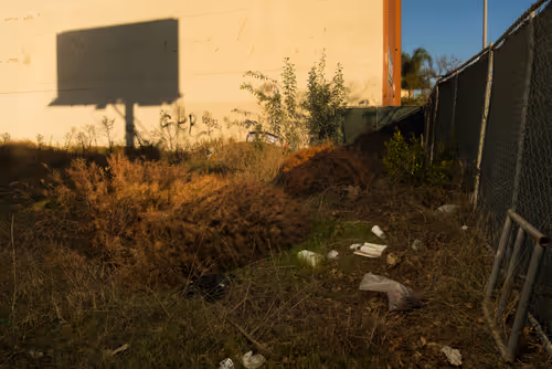 Item #97596376492587480991564299989885194485729582935183473269224319442137724747777 Media