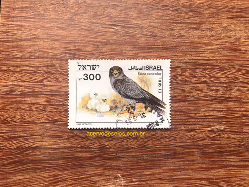 Item #20597586626667959385800891861414849022288511145256085744500515457215900942337 Media