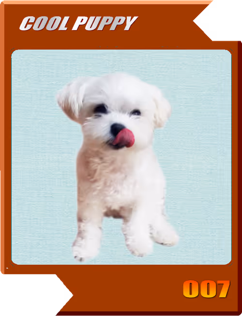 Item #21477548388787063266658748687199700189937005018840532589754440349138901008385 Media